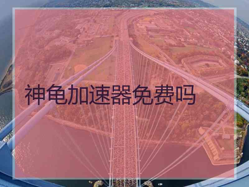 神龟加速器免费吗