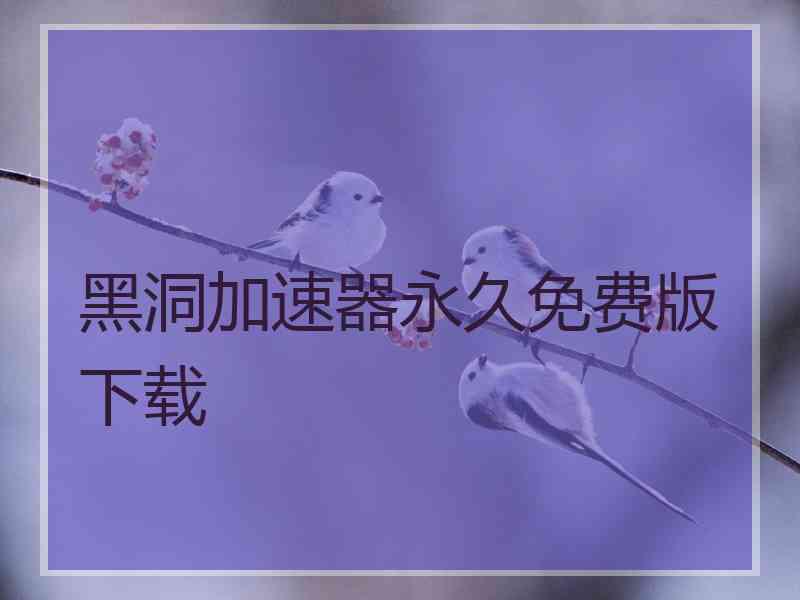黑洞加速器永久免费版下载