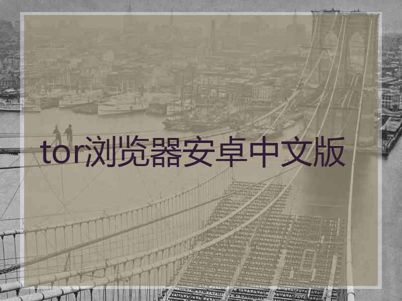 tor浏览器安卓中文版