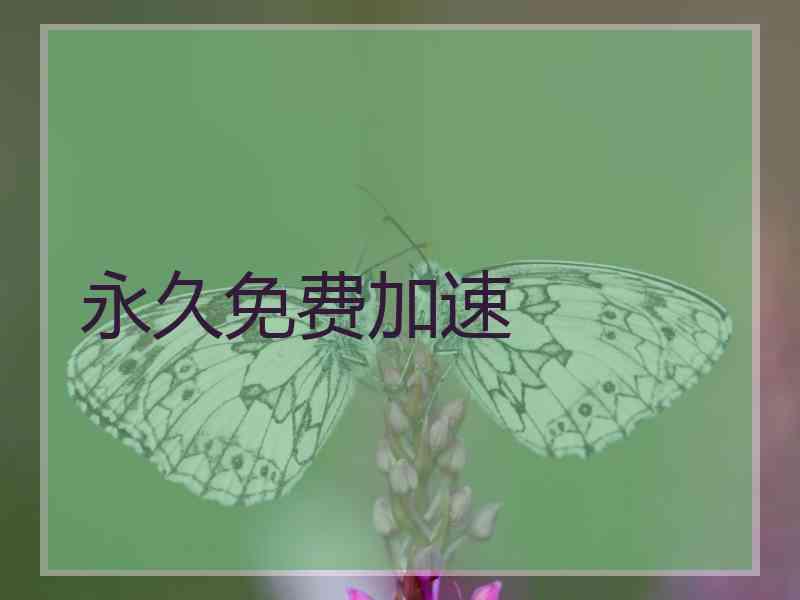 永久免费加速