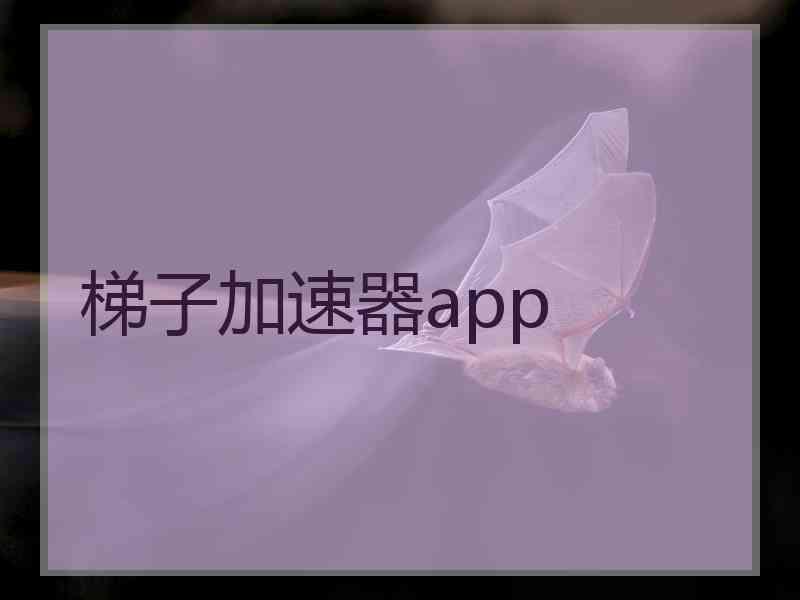 梯子加速器app