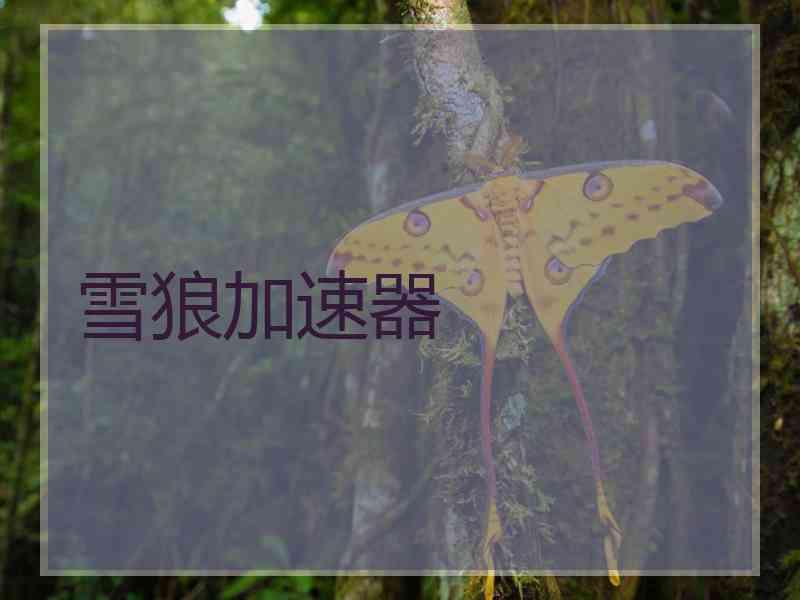 雪狼加速器