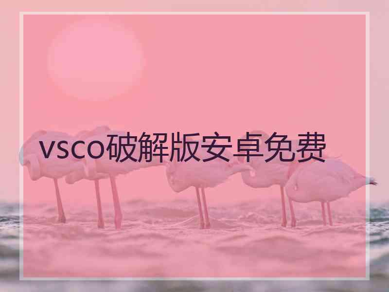vsco破解版安卓免费