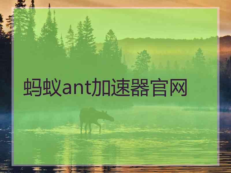 蚂蚁ant加速器官网
