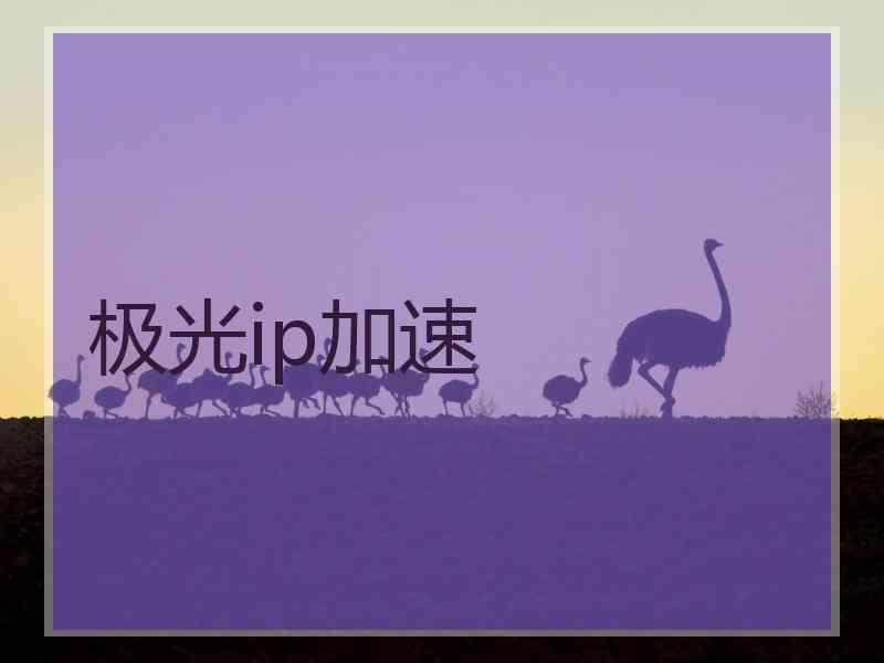 极光ip加速