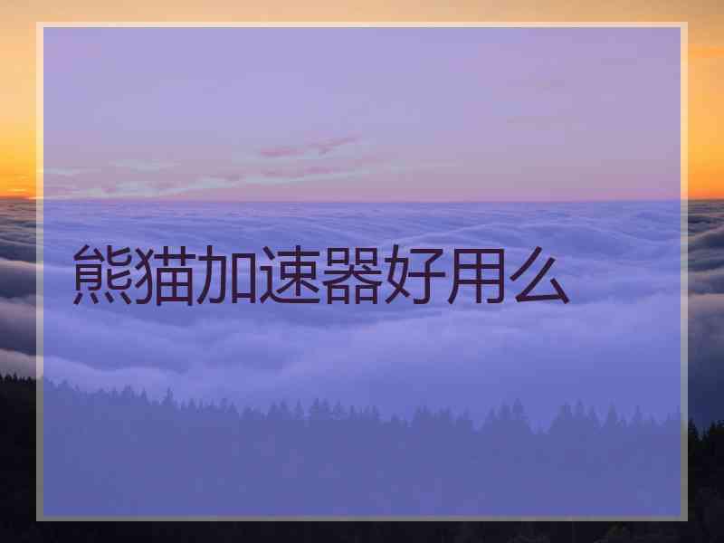 熊猫加速器好用么