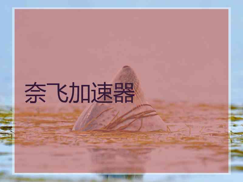 奈飞加速器