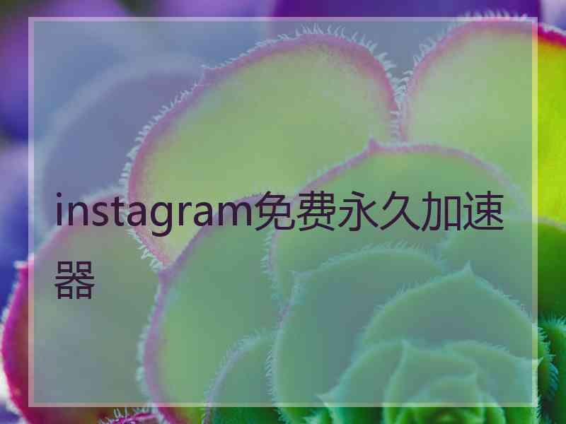 instagram免费永久加速器