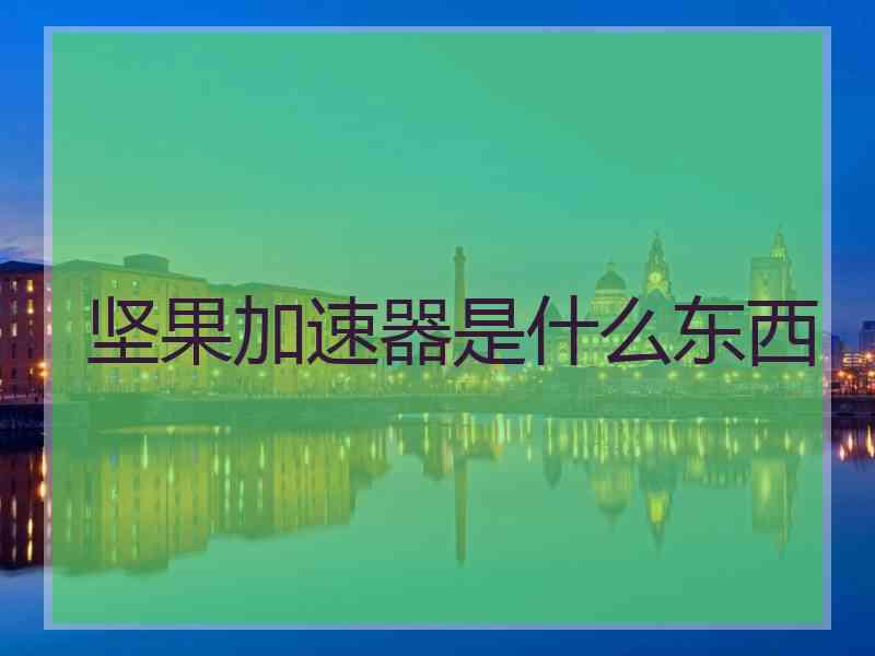 坚果加速器是什么东西