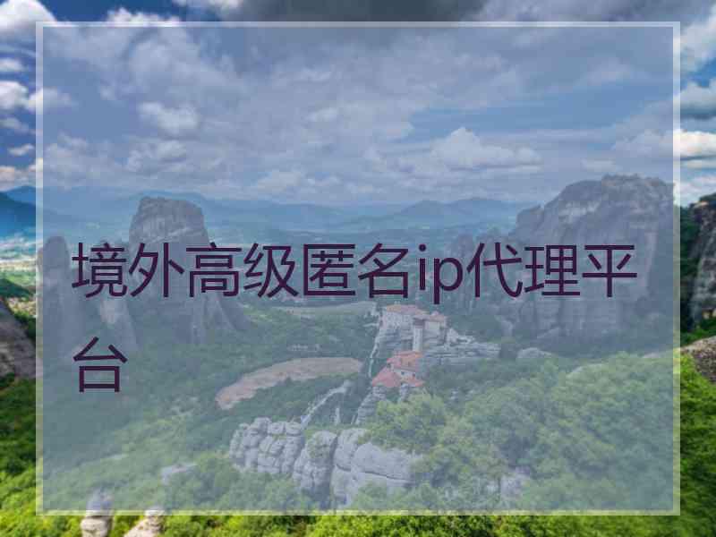 境外高级匿名ip代理平台