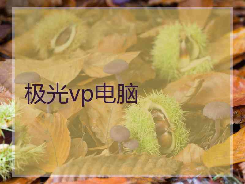 极光vp电脑