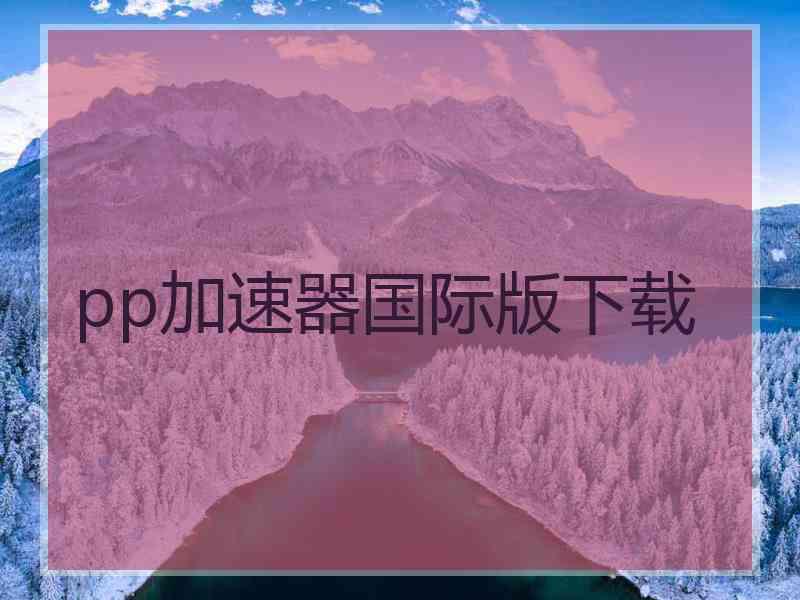 pp加速器国际版下载