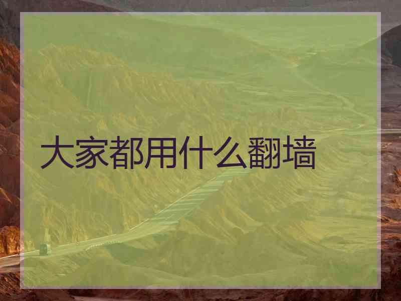 大家都用什么翻墙