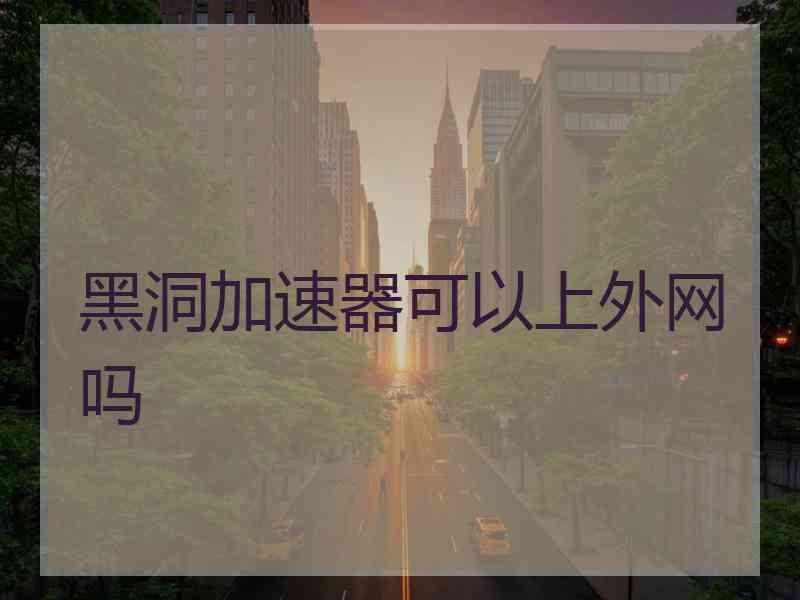 黑洞加速器可以上外网吗