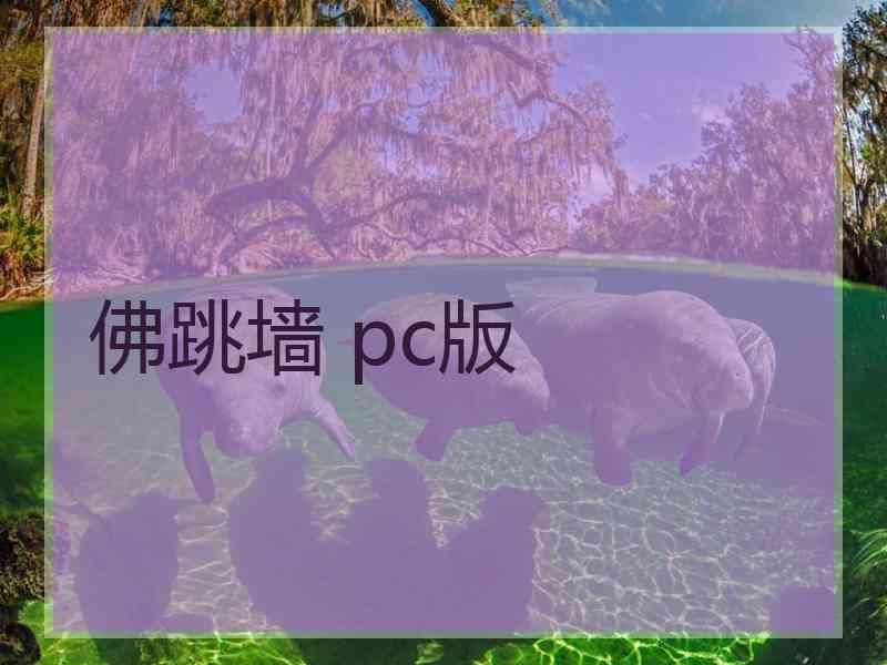 佛跳墙 pc版