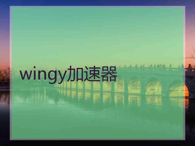 wingy加速器