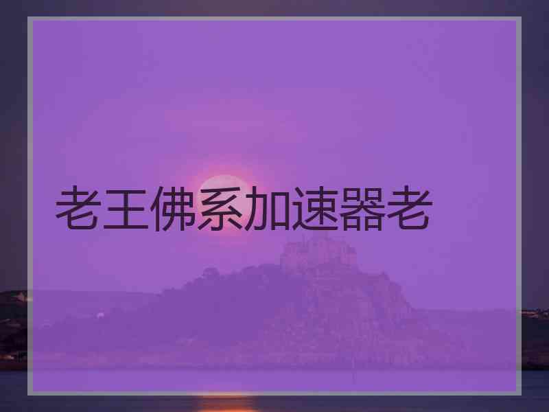 老王佛系加速器老
