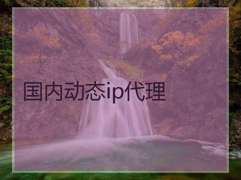 国内动态ip代理