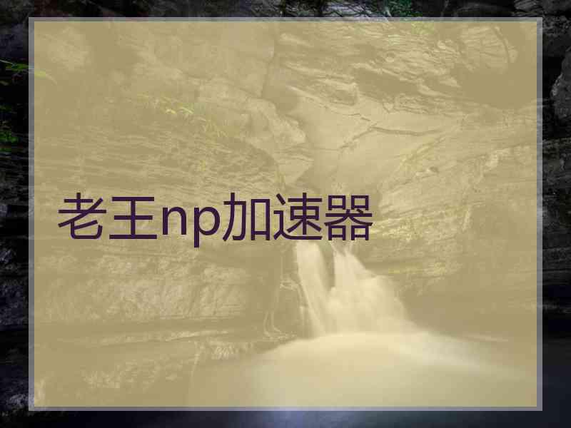 老王np加速器