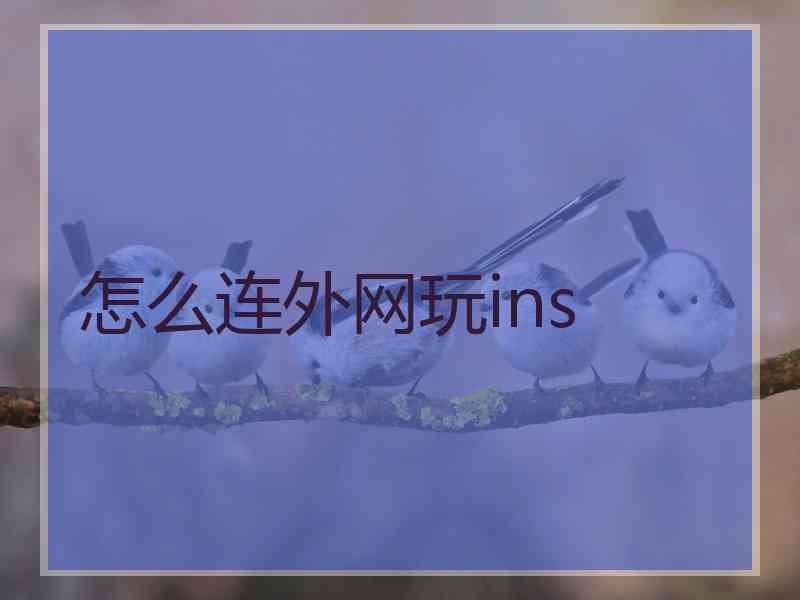怎么连外网玩ins