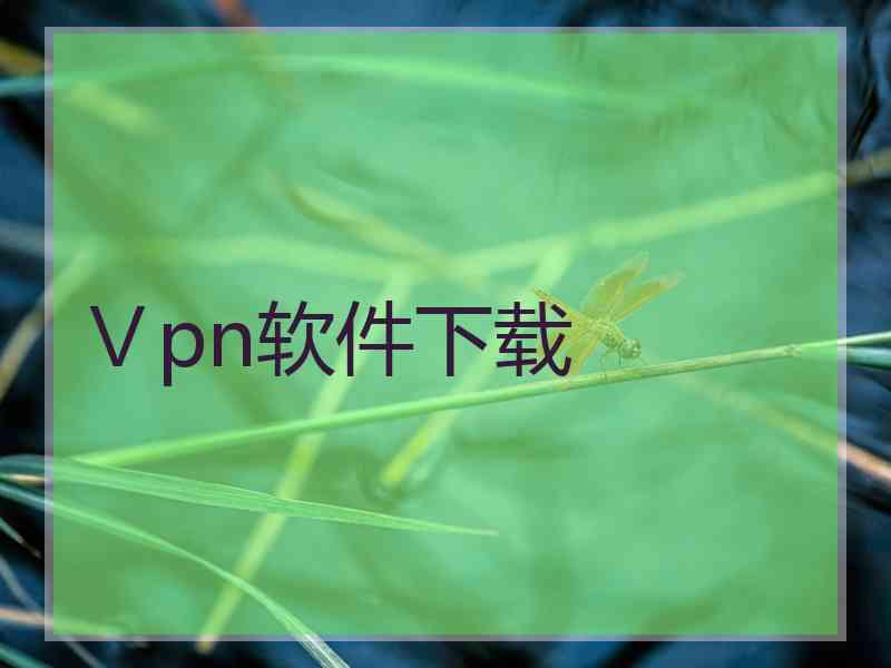 Ⅴpn软件下载