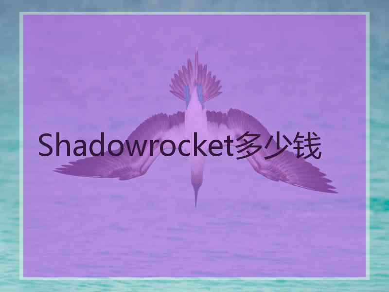 Shadowrocket多少钱