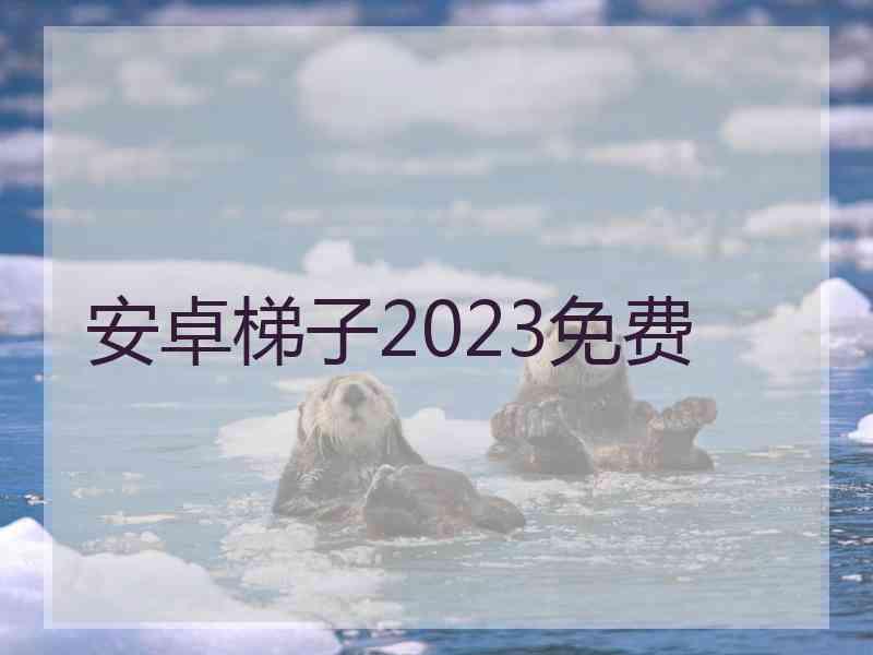 安卓梯子2023免费