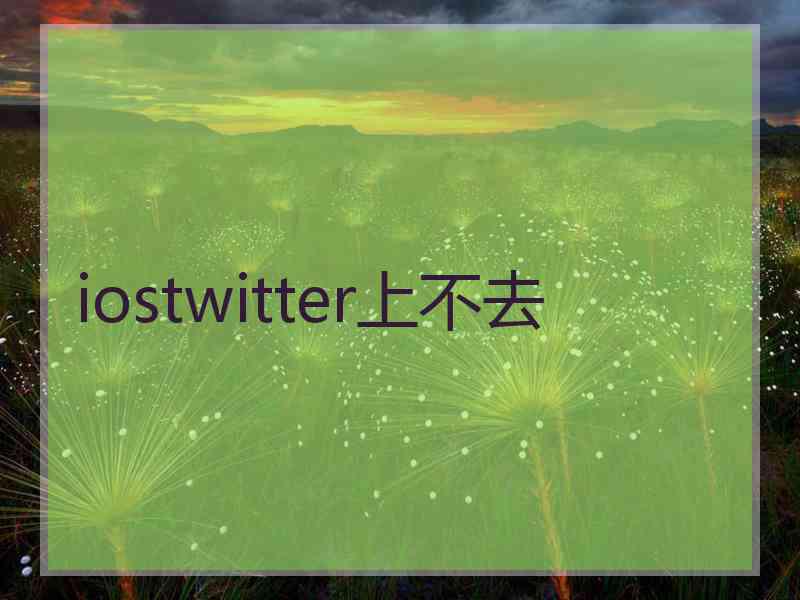 iostwitter上不去