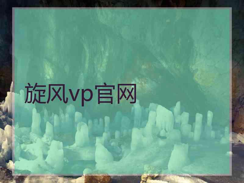 旋风vp官网
