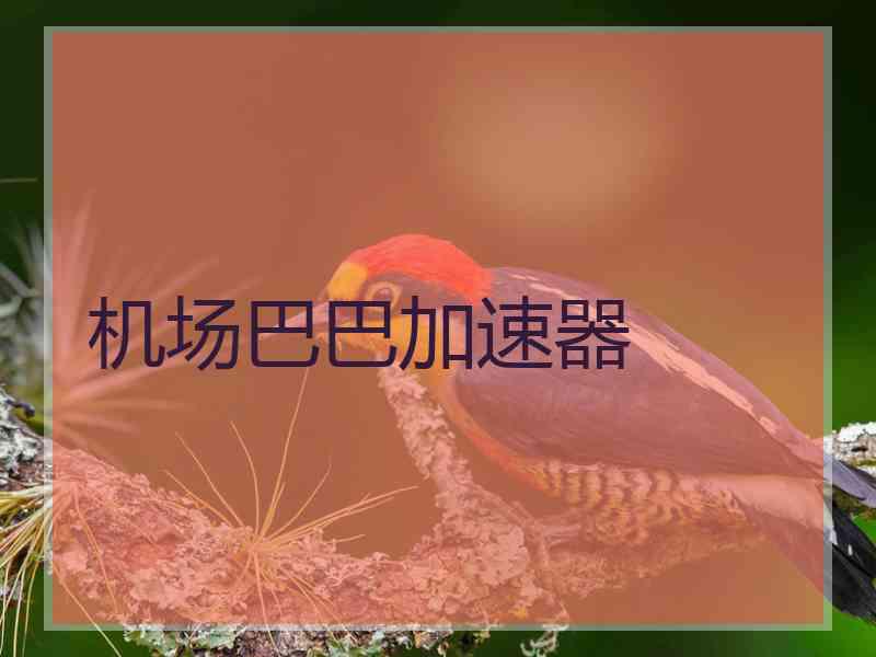 机场巴巴加速器