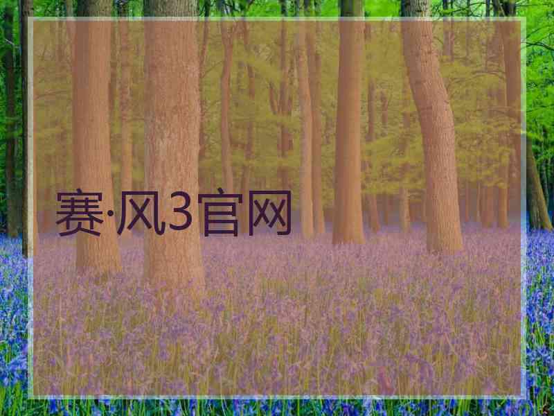 赛·风3官网