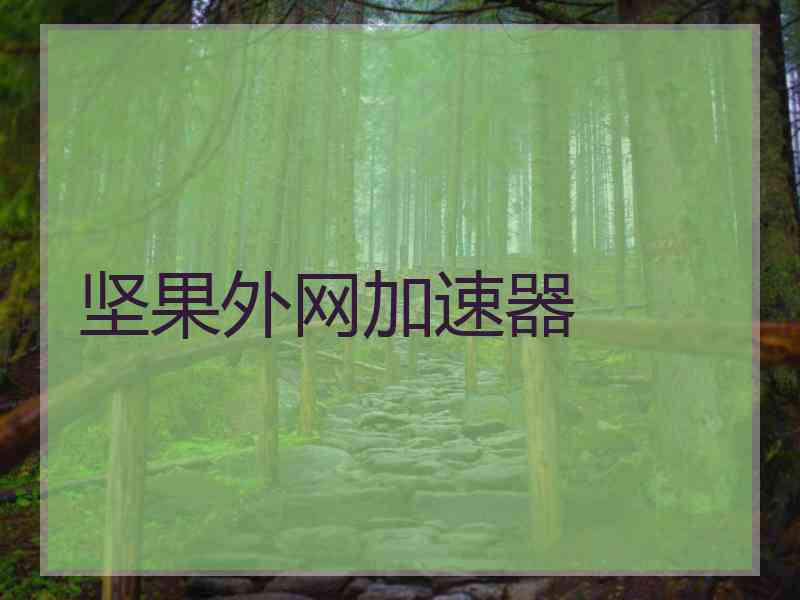 坚果外网加速器