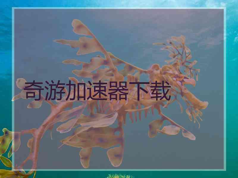 奇游加速器下载
