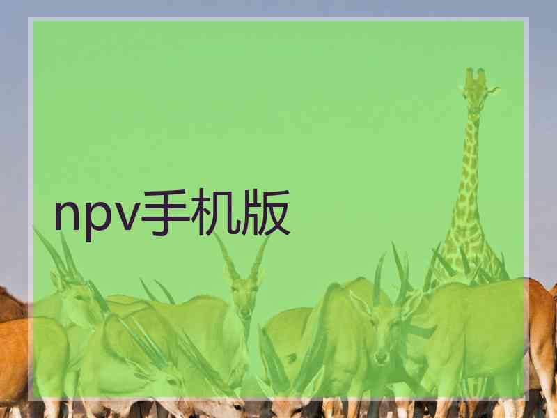 npv手机版