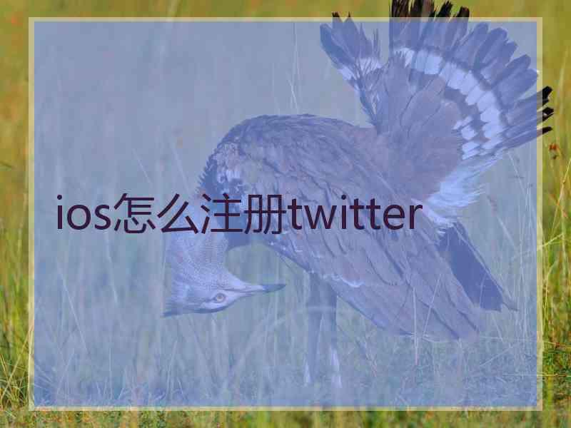 ios怎么注册twitter