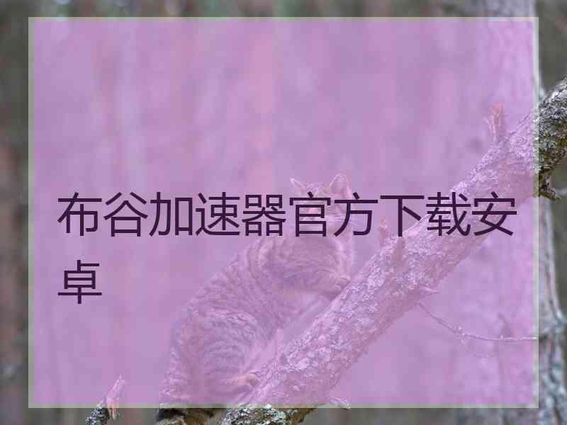 布谷加速器官方下载安卓
