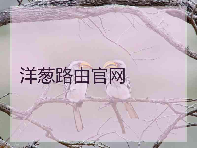 洋葱路由官网