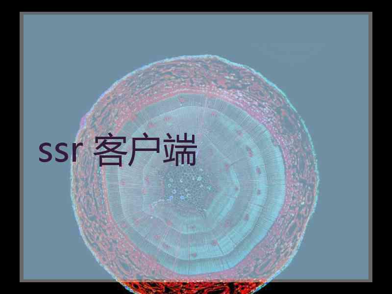 ssr 客户端