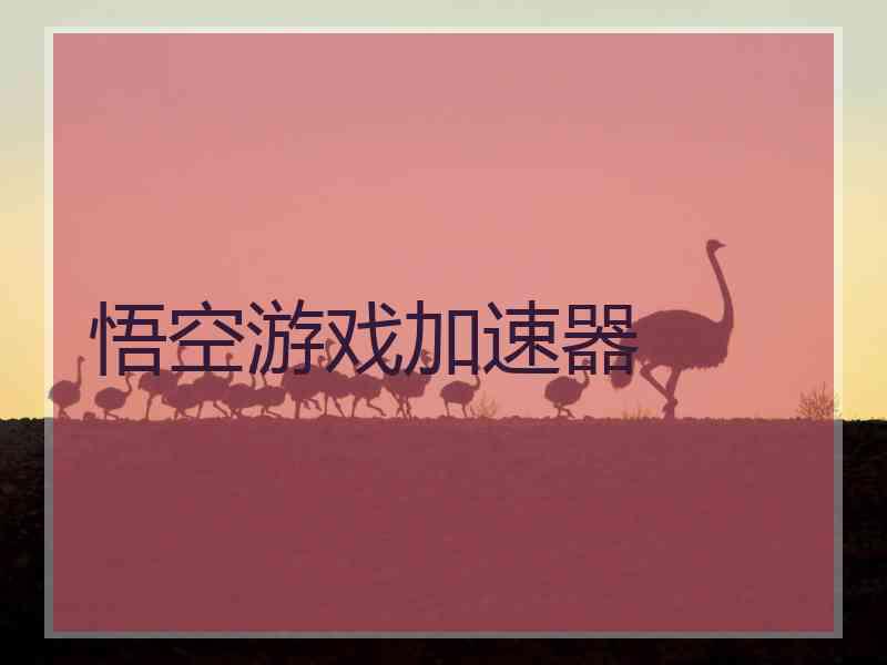 悟空游戏加速器