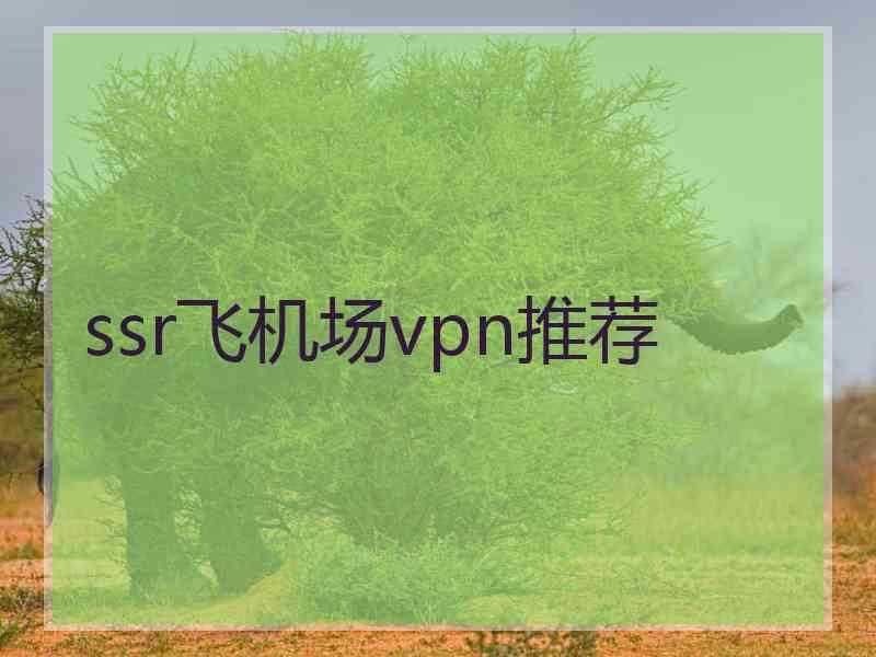 ssr飞机场vpn推荐