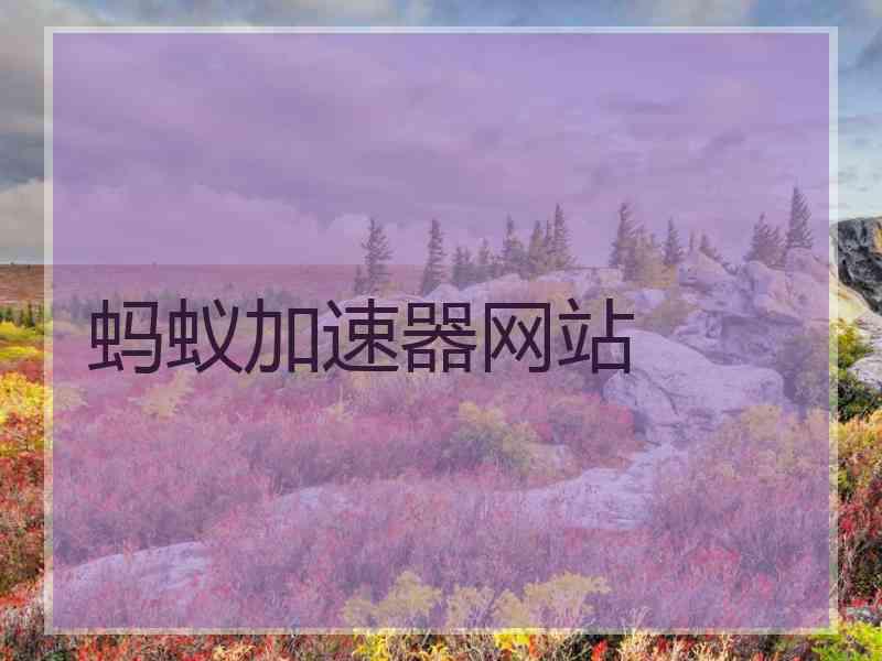 蚂蚁加速器网站
