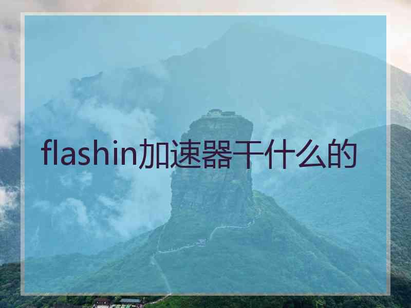 flashin加速器干什么的