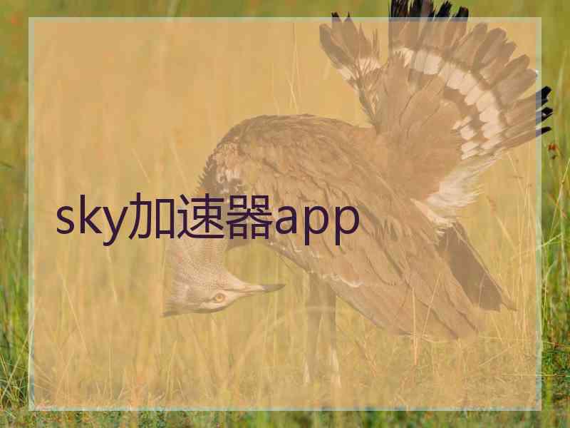 sky加速器app
