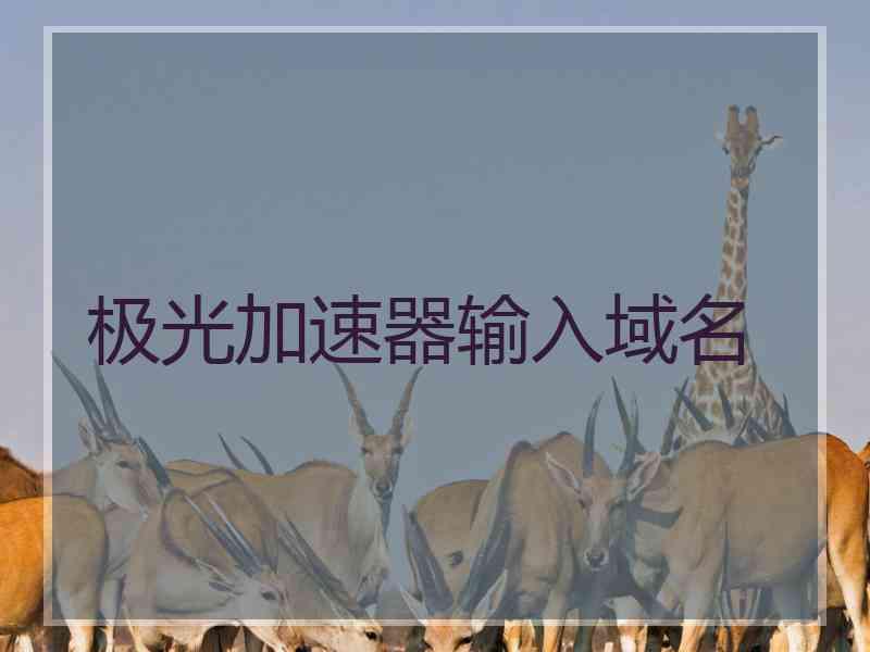 极光加速器输入域名