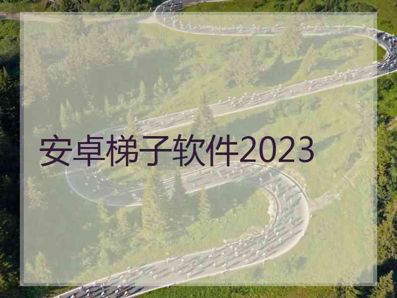 安卓梯子软件2023