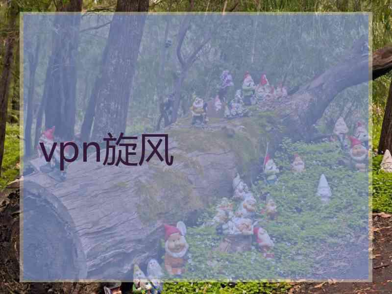 vpn旋风