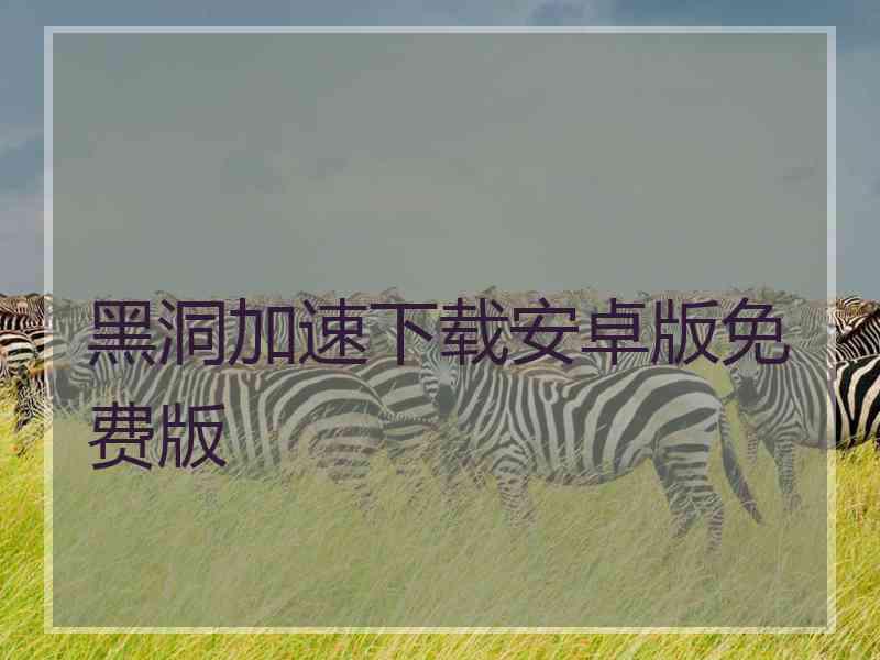 黑洞加速下载安卓版免费版