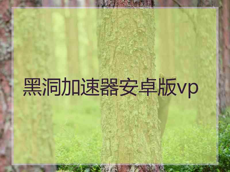 黑洞加速器安卓版vp