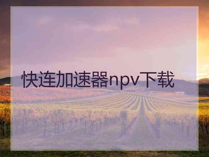 快连加速器npv下载