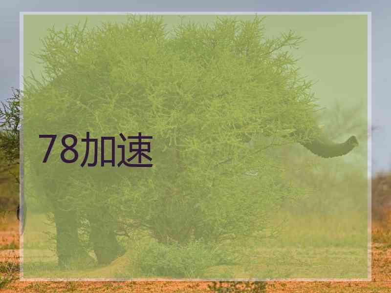 78加速